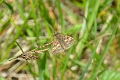 26 05 12_1287_edited-1